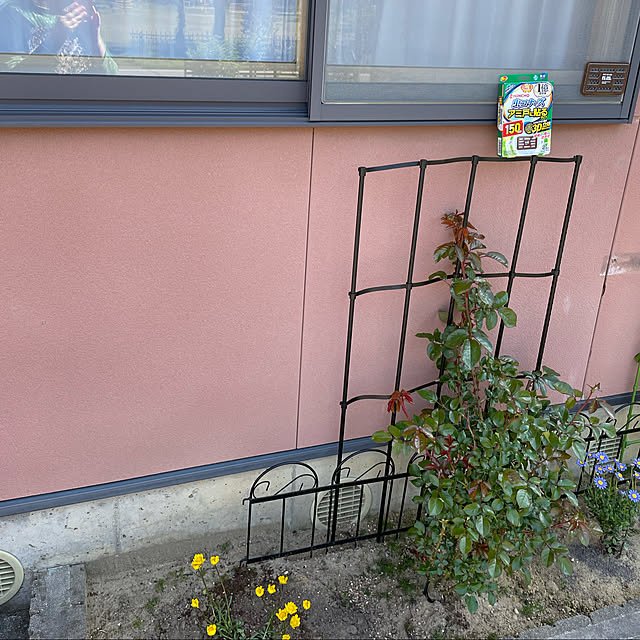 kakoさんの実例写真