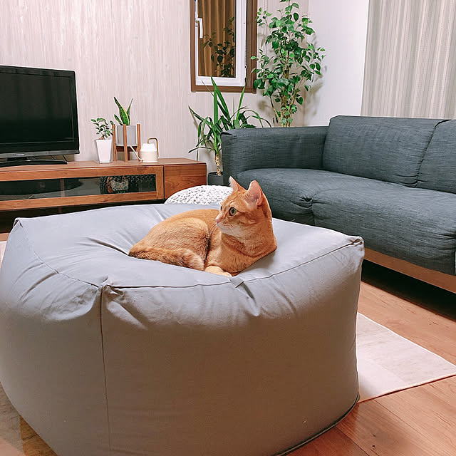 reo..m.aさんの実例写真