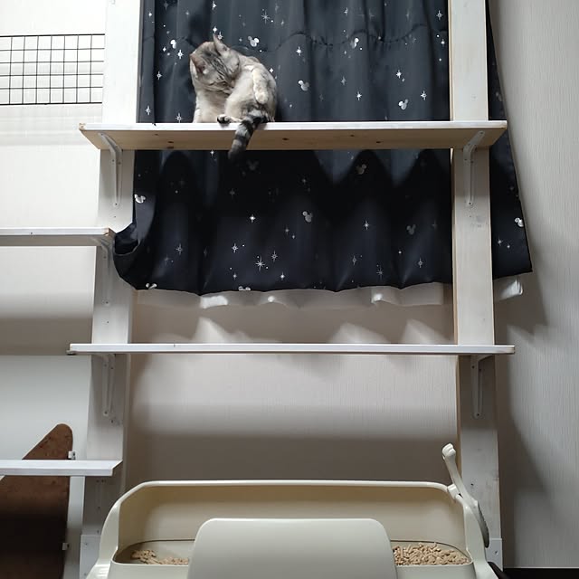 lelielさんの実例写真