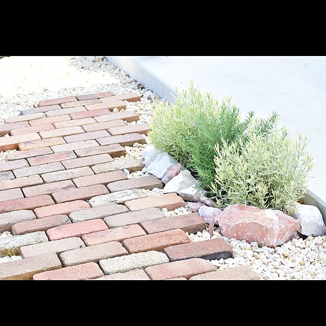yuyuさんの実例写真