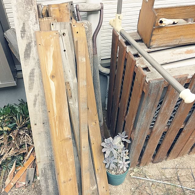 mofukoさんの部屋