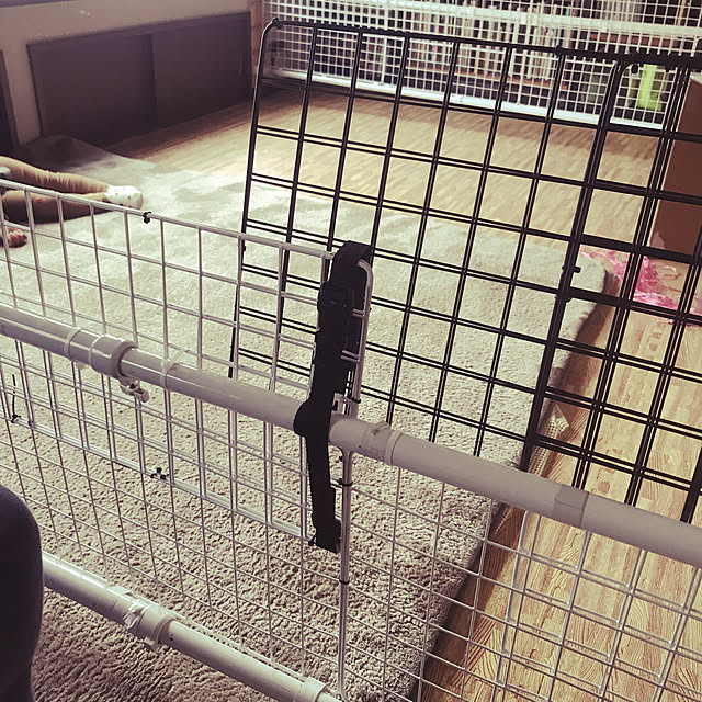 kobito_houseさんの実例写真