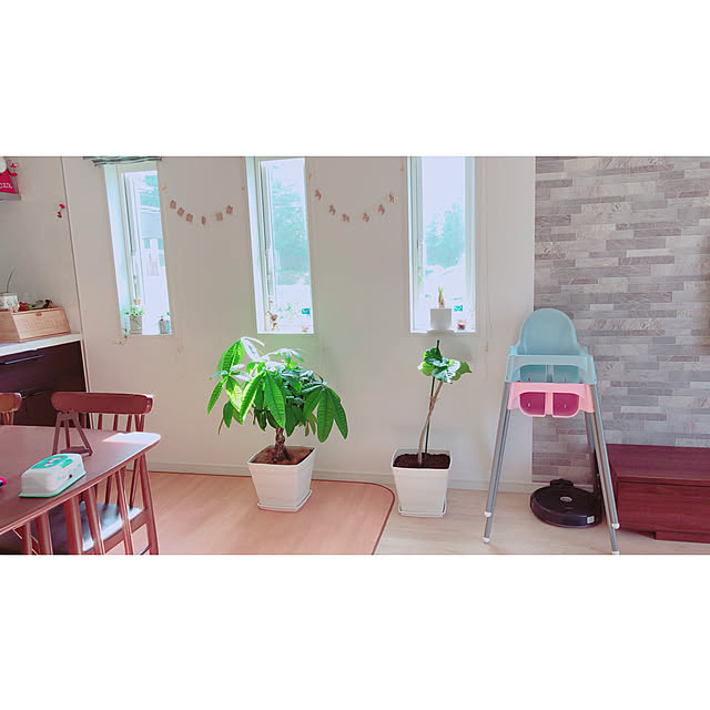 minmim.さんの実例写真