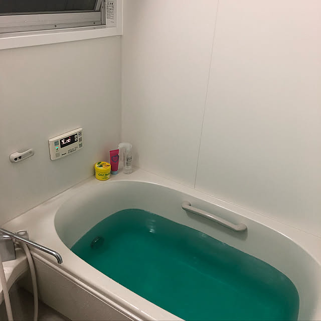 Satomiさんの実例写真