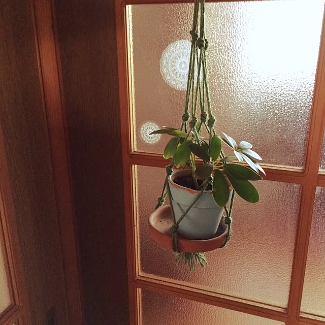 nokaruさんの実例写真
