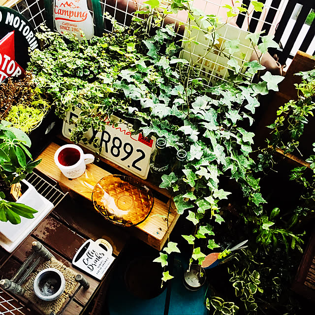 remoza0310さんの実例写真