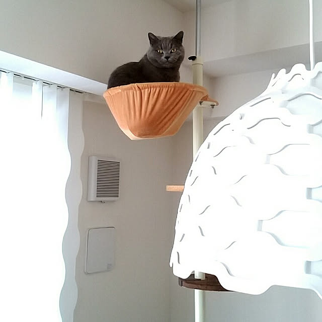 hineko_homeさんの実例写真