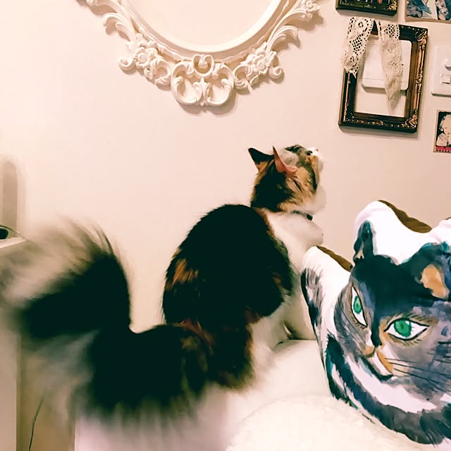 rukaさんの実例写真