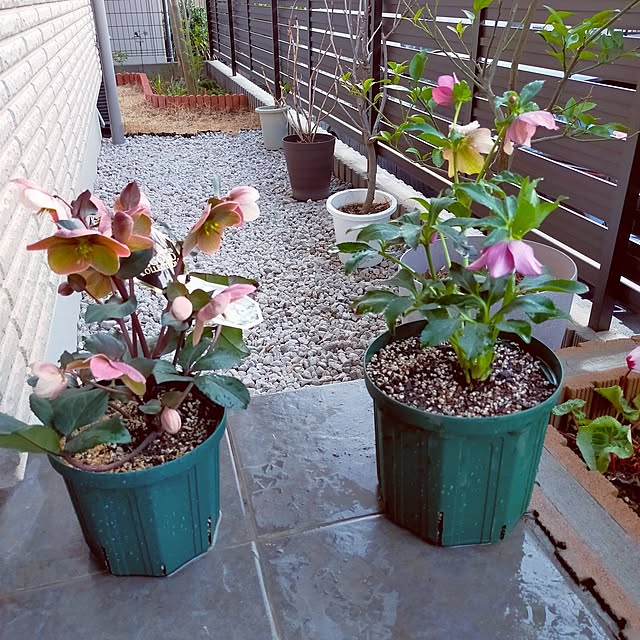 masaさんの実例写真