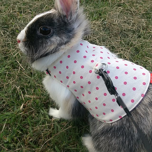 komugiさんの実例写真
