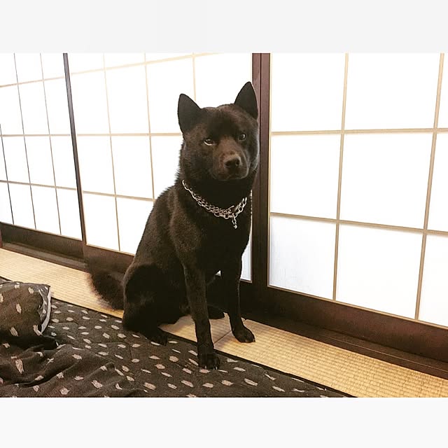 rikorikoさんの実例写真