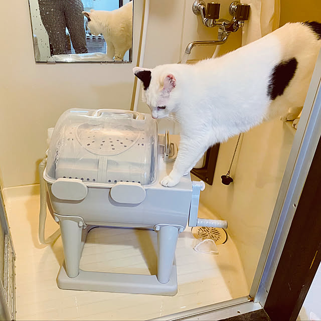 YUKAさんの実例写真