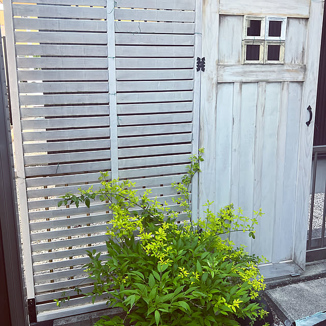 hinamamaさんの部屋