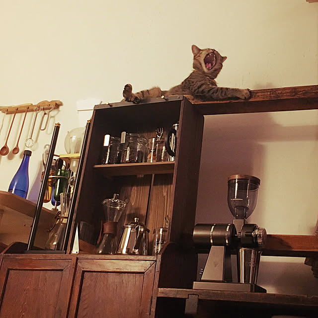 Mさんの実例写真