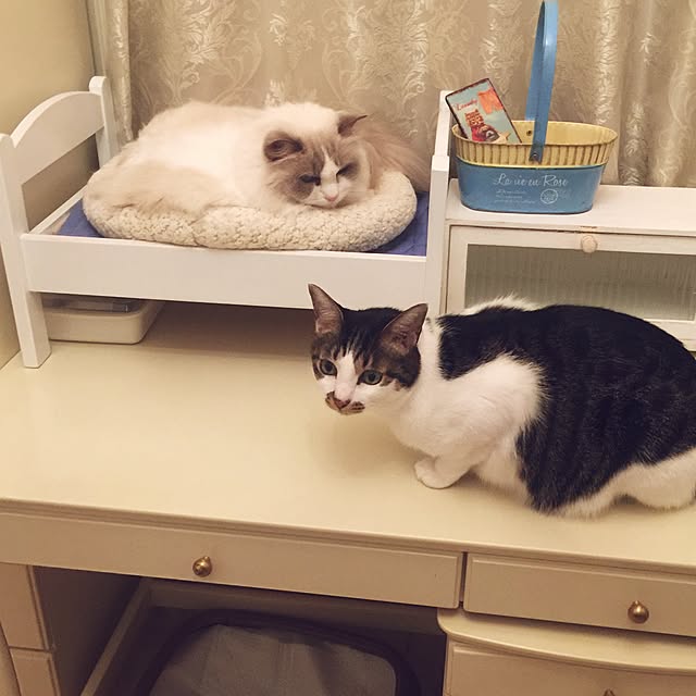 yuchiさんの実例写真