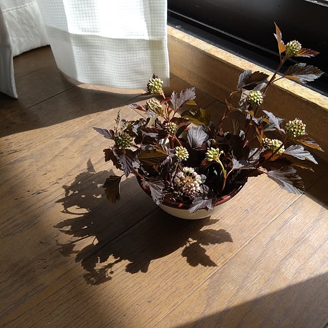 kakkaさんの実例写真