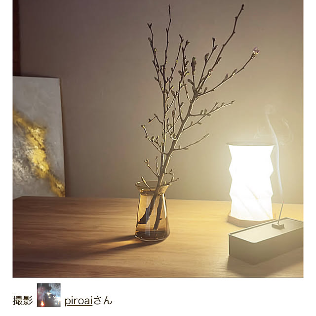 piroaiさんの部屋