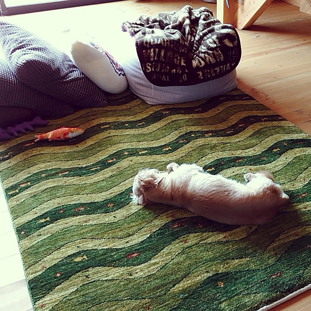 meme.coさんの実例写真