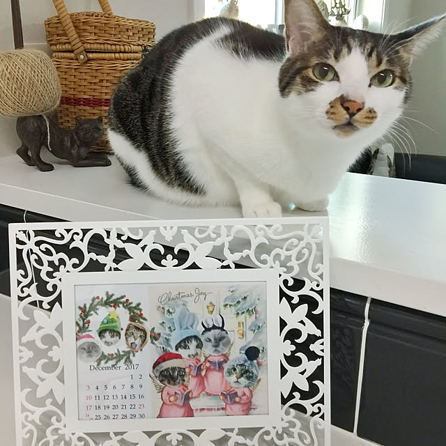 yuchiさんの実例写真