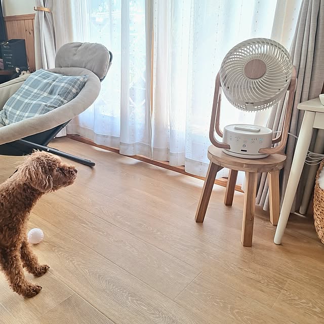 Blancheさんの部屋