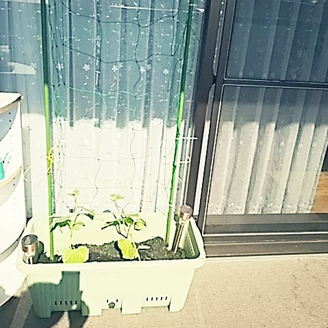 Shochanさんの実例写真