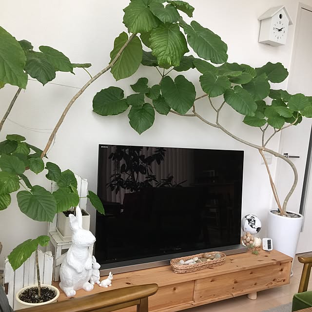chihomilkさんの実例写真