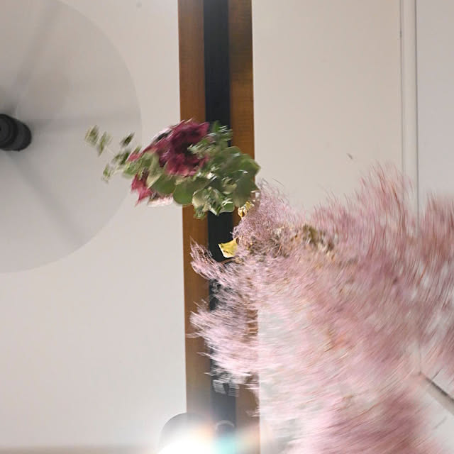 y.tora5さんの部屋