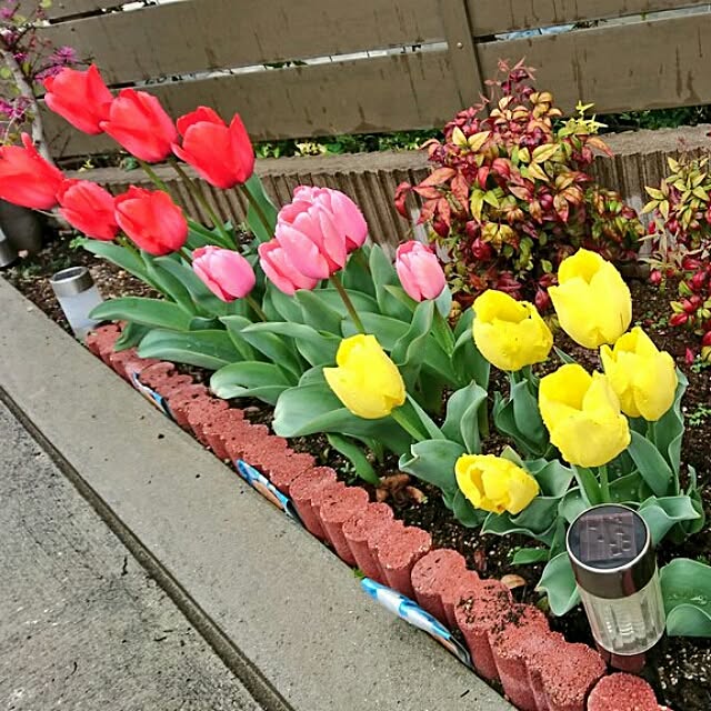 pmso0221さんの実例写真