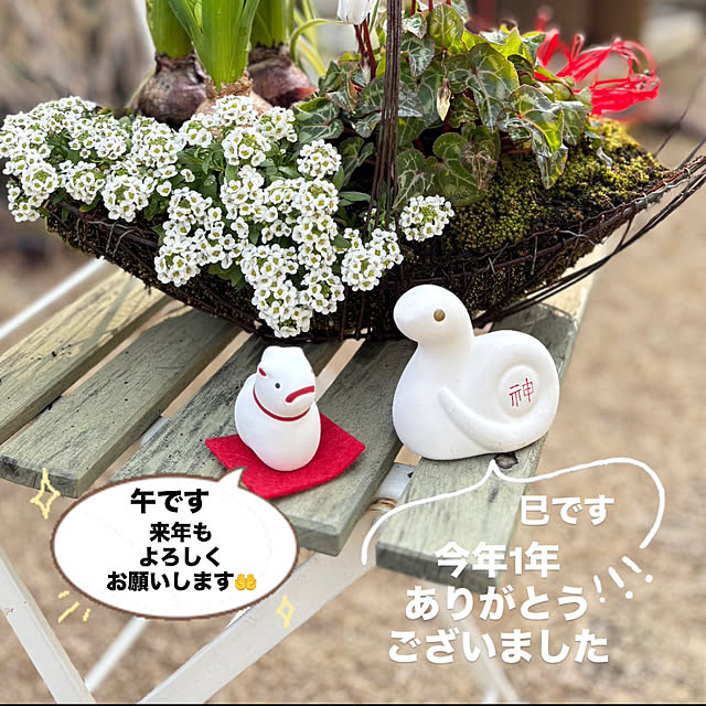 mayumiさんの部屋