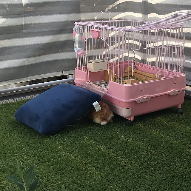 fujiyanさんの実例写真