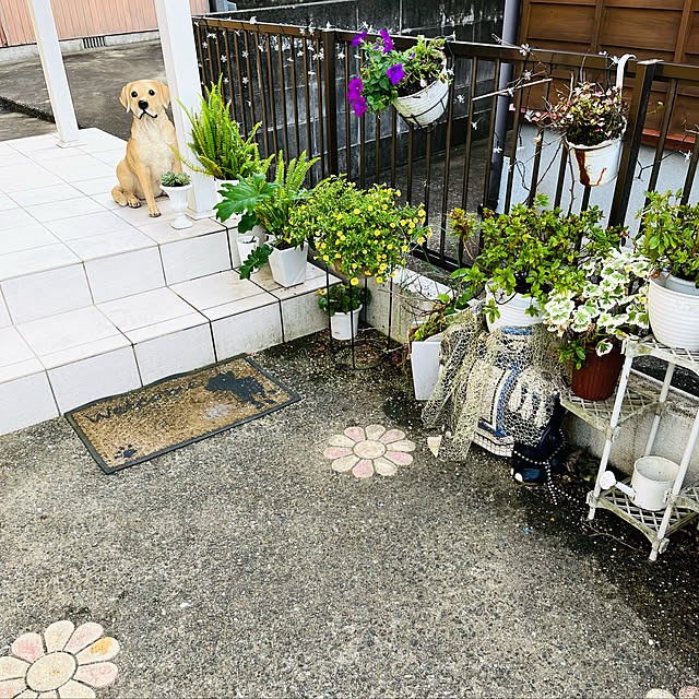masaさんの実例写真