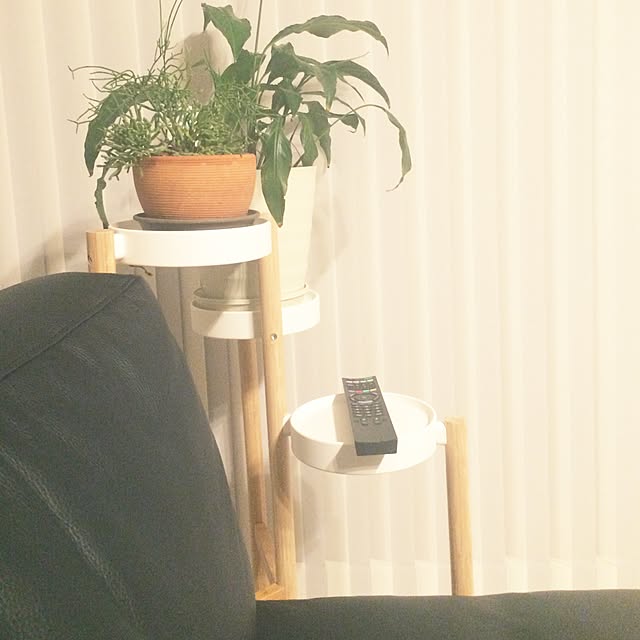 Kiiiyooopoooさんの実例写真