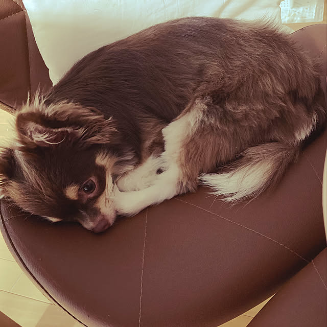 mofuchiさんの実例写真