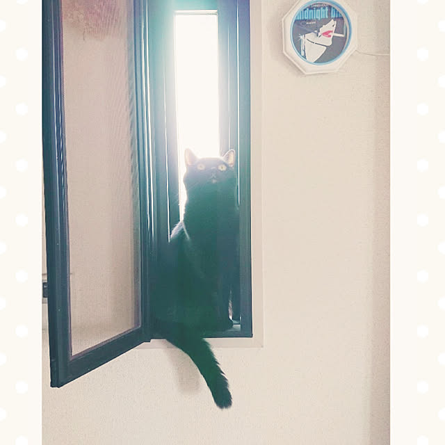 soraさんの実例写真