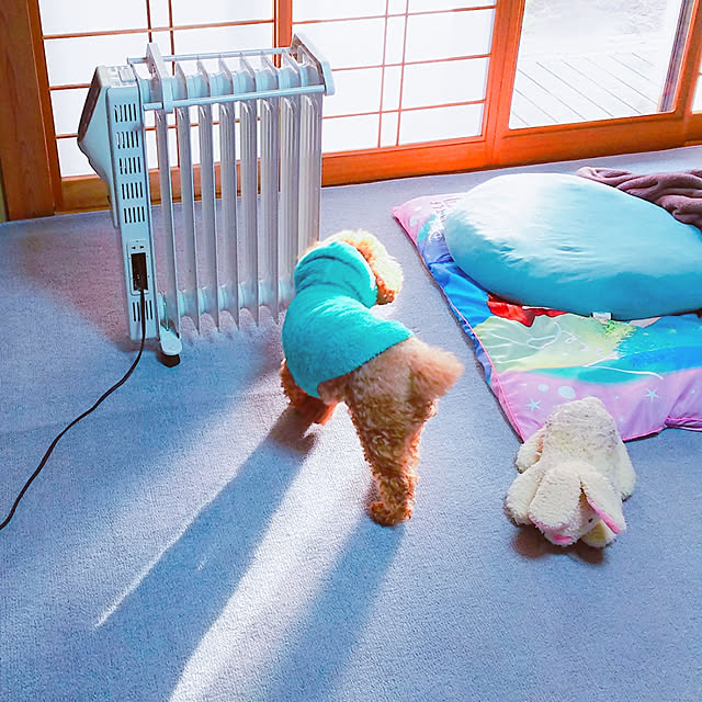 cherrycherryさんの実例写真
