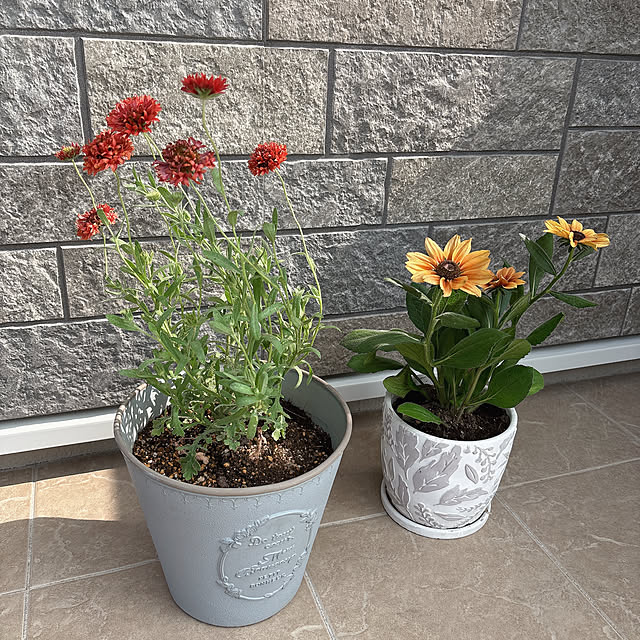 miyu39さんの実例写真