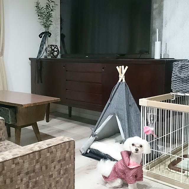 plutoさんの実例写真