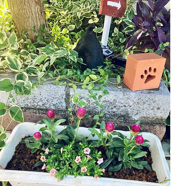 CoCo0617さんの実例写真