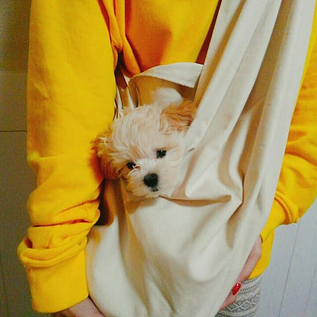 rinamamaさんの実例写真