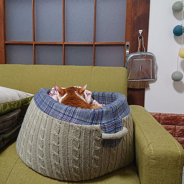 mugi77327732さんの実例写真