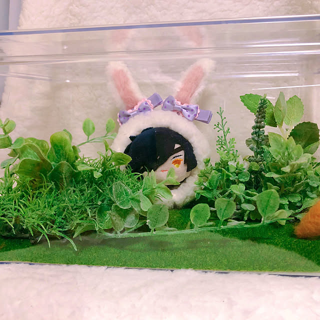 ngtnさんの実例写真