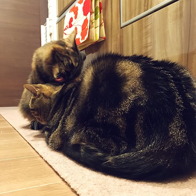 mikomaruさんの実例写真