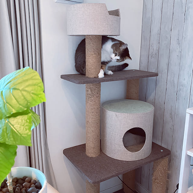nekomiさんの部屋