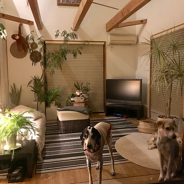 mm319さんの実例写真