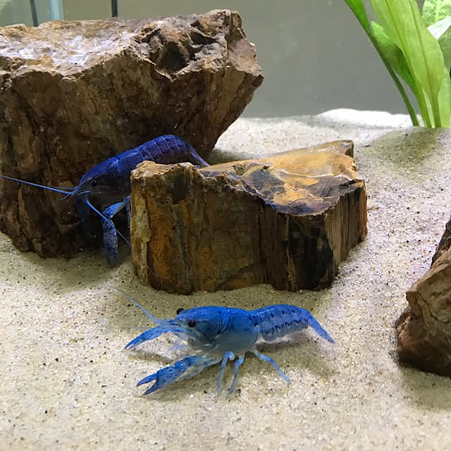 Takashiさんの実例写真