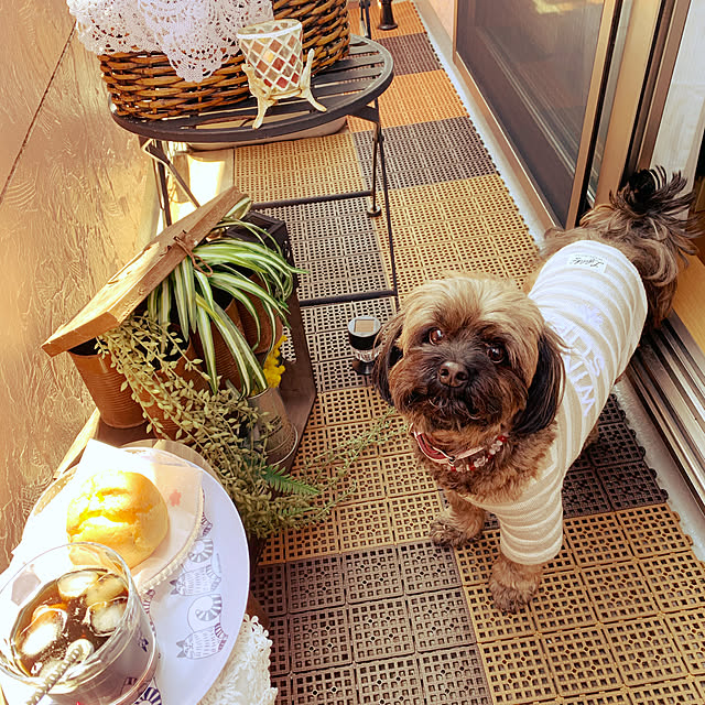 taeさんの実例写真