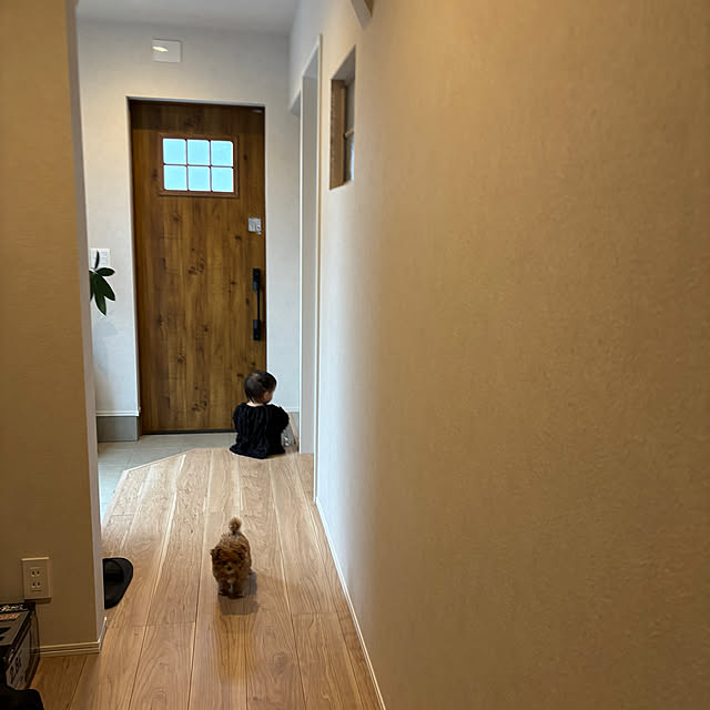 suuさんの部屋