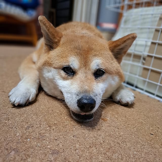 nanaさんの実例写真