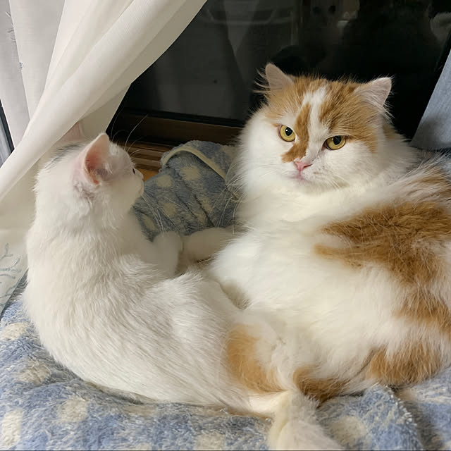 keiさんの実例写真
