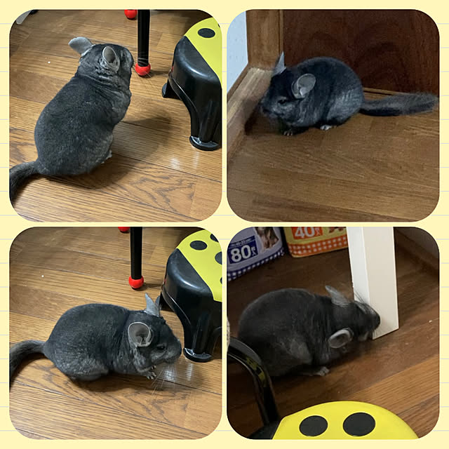 milkさんの実例写真